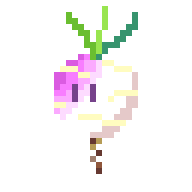 Turnip Turnip